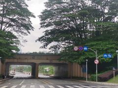 -东莞植物园