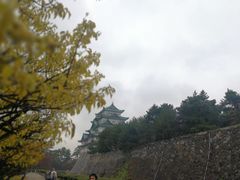 -名古屋城