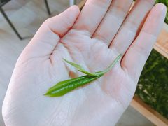 -水磨古镇