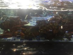 -阿锋鲍鱼酒家美食汇(华安店)