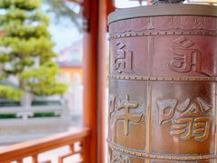 -上海东林寺(金山区)