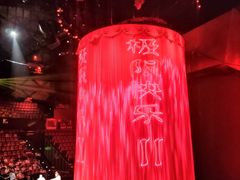 -重庆国际马戏城