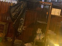 -津菜宋记老房子(鼓楼店)