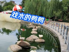 -莲湖公园