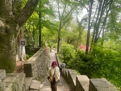 -莫干山风景区