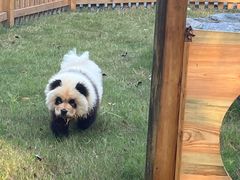 -茅山东方盐湖城景区