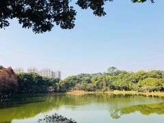 -东莞植物园