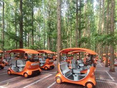 -黄海国家森林公园