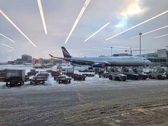 -谢列梅捷沃国际机场