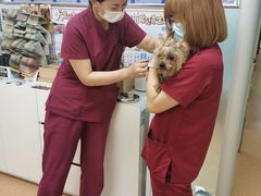 -宠颐生中康贝怡动物医院