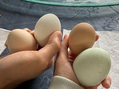 -天芳悦潭度假村温泉