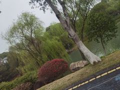 -苏州太湖国家湿地公园