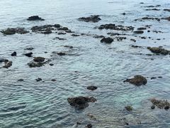 -三亚西岛海洋文化旅游区