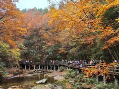 -光雾山旅游景区