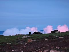 -灵山