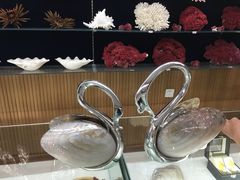 -青岛贝壳博物馆