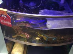 -七欣天(上海淮海路新尚广场店)