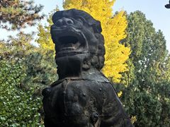 -莲池书院博物馆