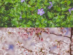 -白塘生态植物园