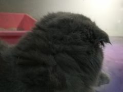 -乐宠宠物店(世纪金源店)