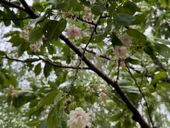 -白塘生态植物园