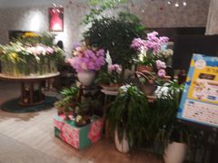 -BoBloom花店(晶耀前滩店)