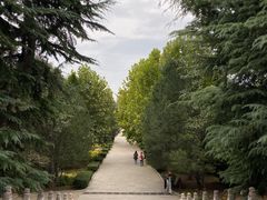 -抱犊寨风景区