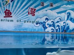 -蓬莱欧乐堡海洋极地世界