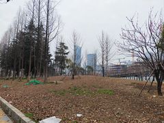 -后襄河公园