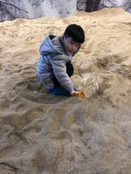 点击看大图 -恐龙探索乐园(磁器口店)