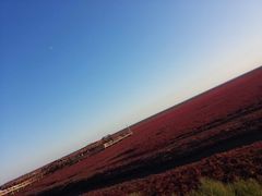-红海滩国家风景廊道