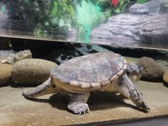 -常州海昌海洋探索馆