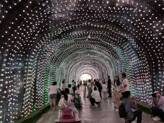 -栾川竹海野生动物园