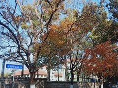 -八大关景区