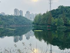 -重庆彩云湖湿地公园