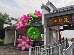 -陶辛水韵