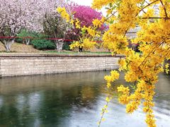 -元大都城垣遗址公园