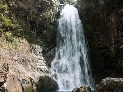 -龙湾潭国家森林公园