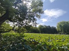 -莲池书院博物馆