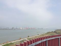 -芒洲湿地公园