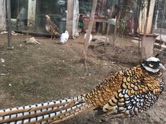 -陕西自然博物馆