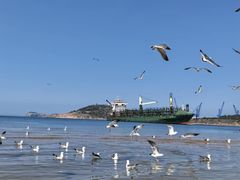 -海驴岛(荣成市)