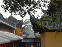-溪口-滕头旅游景区