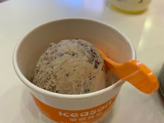 -iceason爱茜茜里·意大利健康冰淇淋(骑龙巷店)