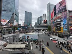 -涩谷全向十字路口