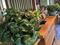 -东园小馆·早茶·淮扬小炒(宋夹城店)