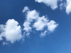 -刘胖子家常菜·蹄花焖藕(中央花园店)
