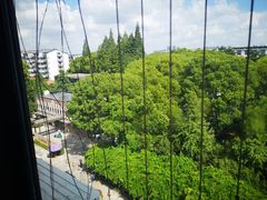 -苏州大学理想眼科医院