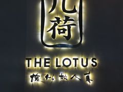 -几荷·恰似故人来(秀水广场店)
