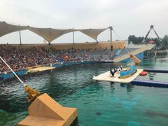 -秦皇岛乐岛海洋王国